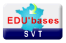 EDU'bases