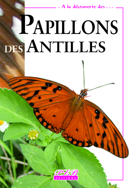 Livre sur les papillons des Antilles