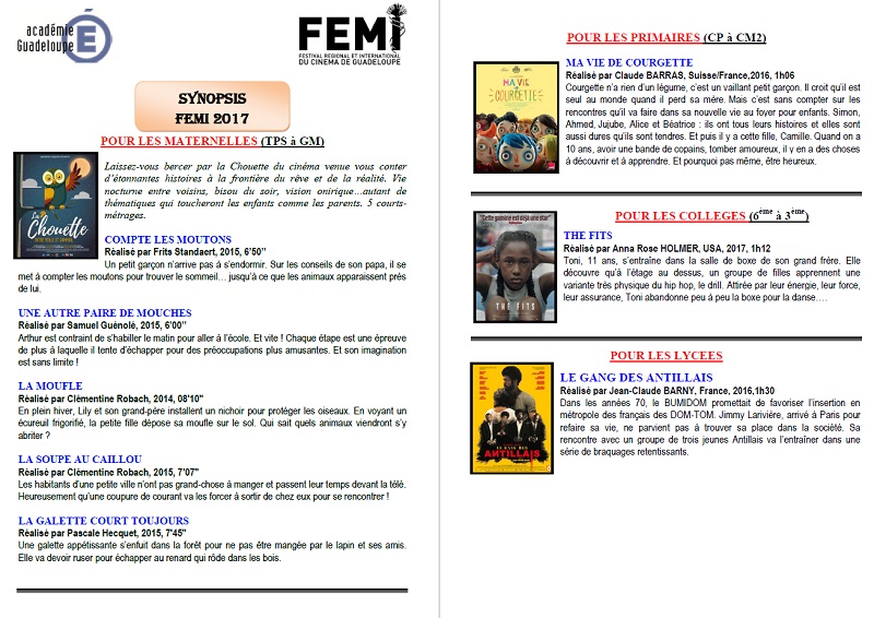 Synopsis FEMI CINE-J 2017
