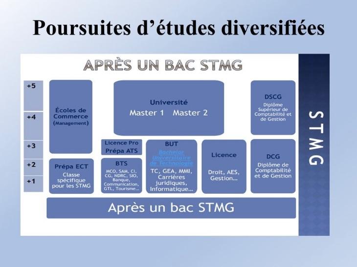 STMG + Bac +5 : un parcours qui a tout son sens