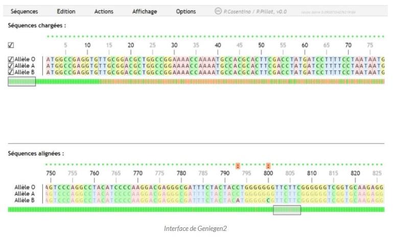 Geniegen2, un logiciel pour étudier des séquences en ligne