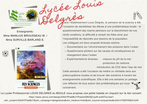 immersion dans le monde marin .