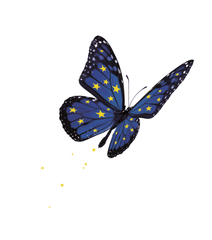 Reportage sur Erasmus Day à Maurice Satineau