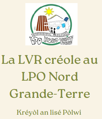 La LVR au lycée Port Louis