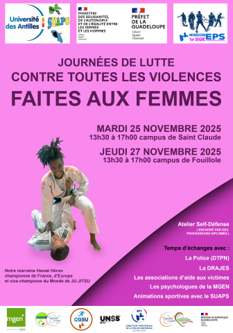 journées de lutte contre toutes les violences faites aux femmes