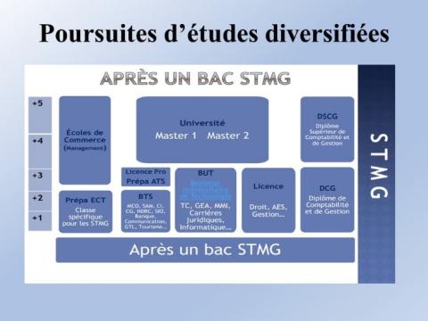 STMG + Bac +5 : un parcours qui a tout son sens