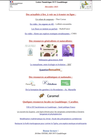 Lettre Num SVT Guadeloupe Décembre 2025