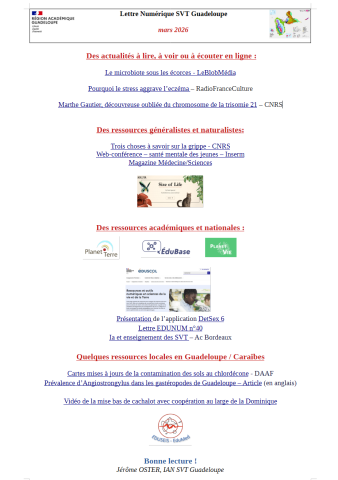 Lettre Num mars 2026