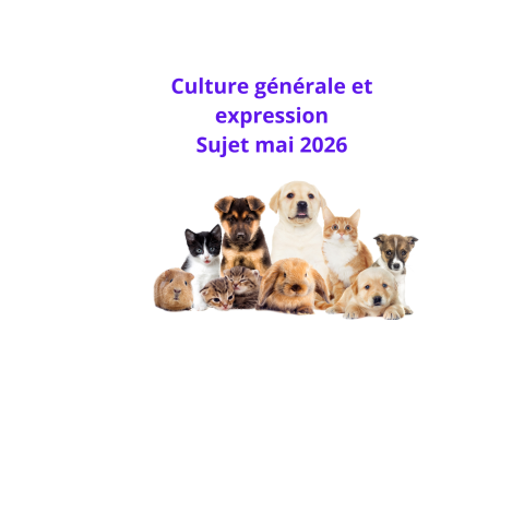 Un groupe d'animaux domestiques