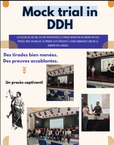 Visuel article Mock Trial
