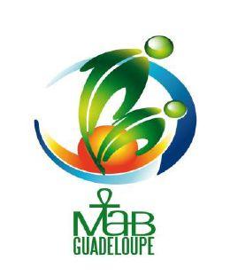 arts_culture_20120228_logo_MAB.jpg