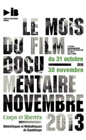 arts_culture_20131102_Affiche_MoisDuDoc2013.jpg