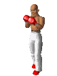 sports-boxe-00004.gif