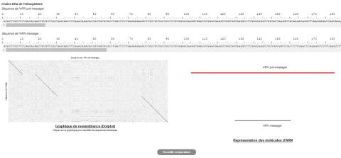 Dotplotter, une application pour mettre en évidence exons et introns