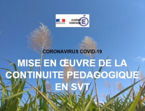 Préconisations et ressources pour enseigner les SVT à distance