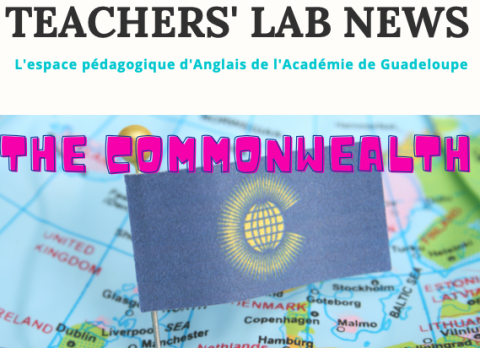 NEWSLETTER N°5