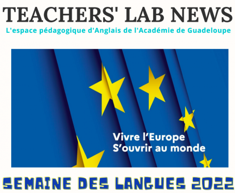 NEWSLETTER N° 7