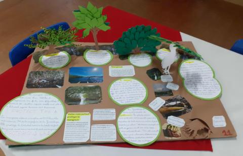 I LOVE MY PLANET 2 édition : THE MANGROVE