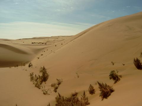 Désertification et recompositions spatiales autour des déserts du nord de la Chine.