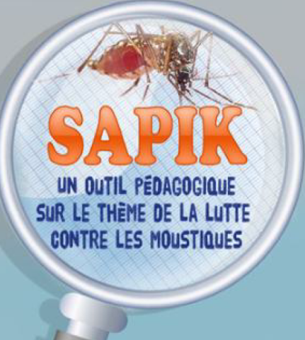 Activités SAPIK au cycle 3