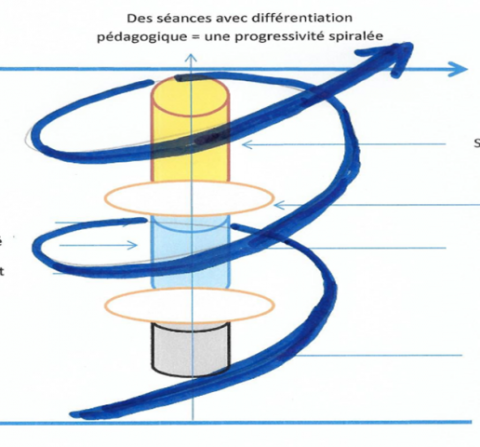 Mise en oeuvre de la spiralisation au cycle 4