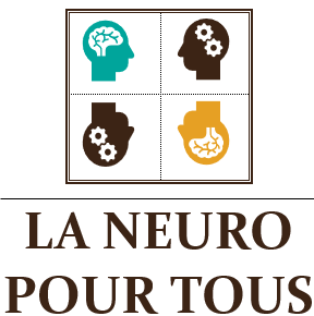 Le Neuro'news, le journal de la "neuro pour tous"-LP Daniella Jeffry