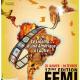 Affiche FEMI