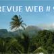 REVUE WEB 9.jpg